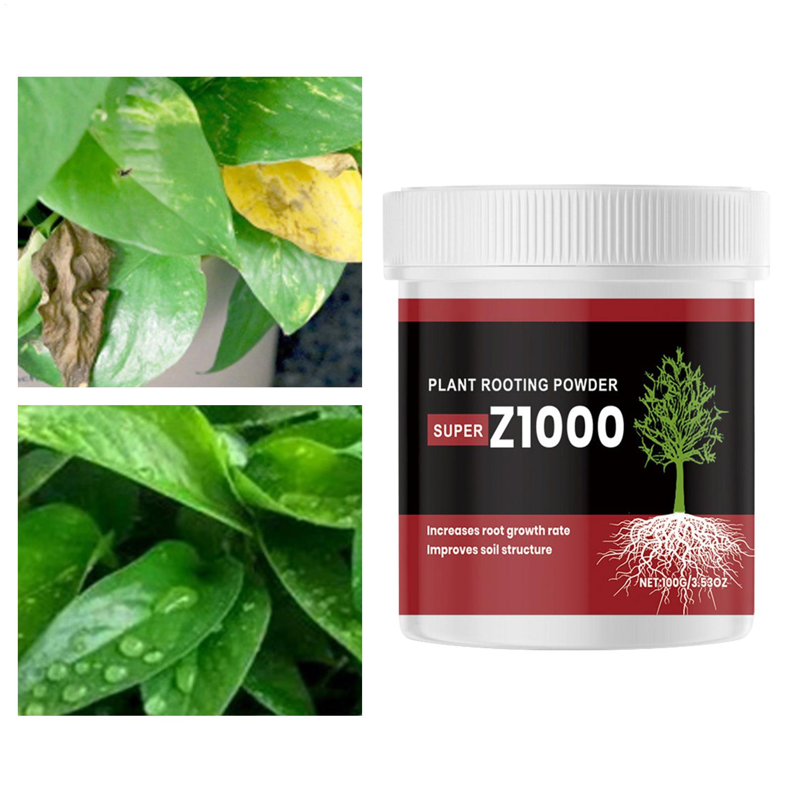 ผงฮอร์โมนเร่งรากสำหรับการปักชำ - Root Stimulator Liquid บทวิจารณ์และราคา