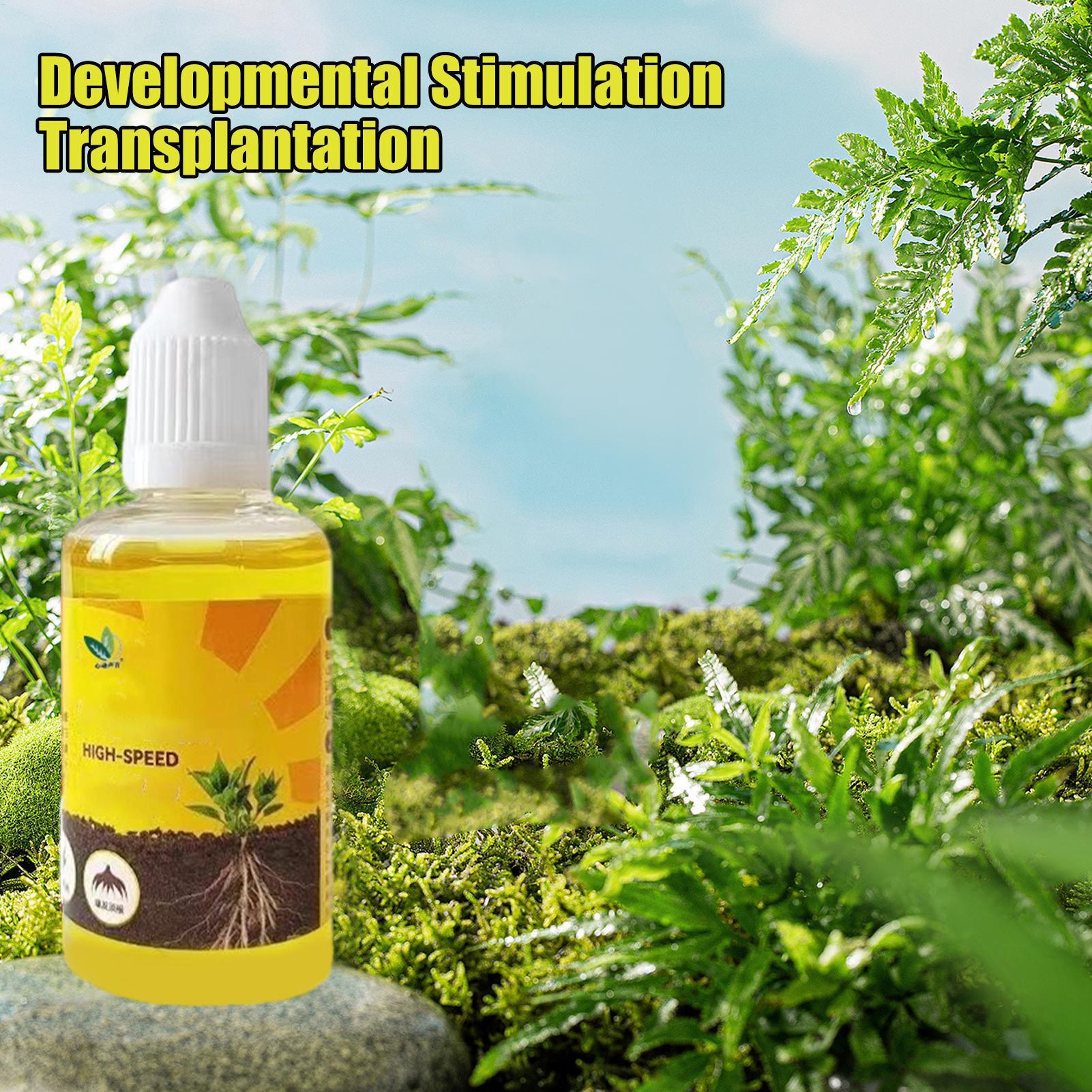 น้ำยาเร่งการแตกหน่อรากพืช น้ำย - Root Stimulator Liquid บทวิจารณ์และราคา