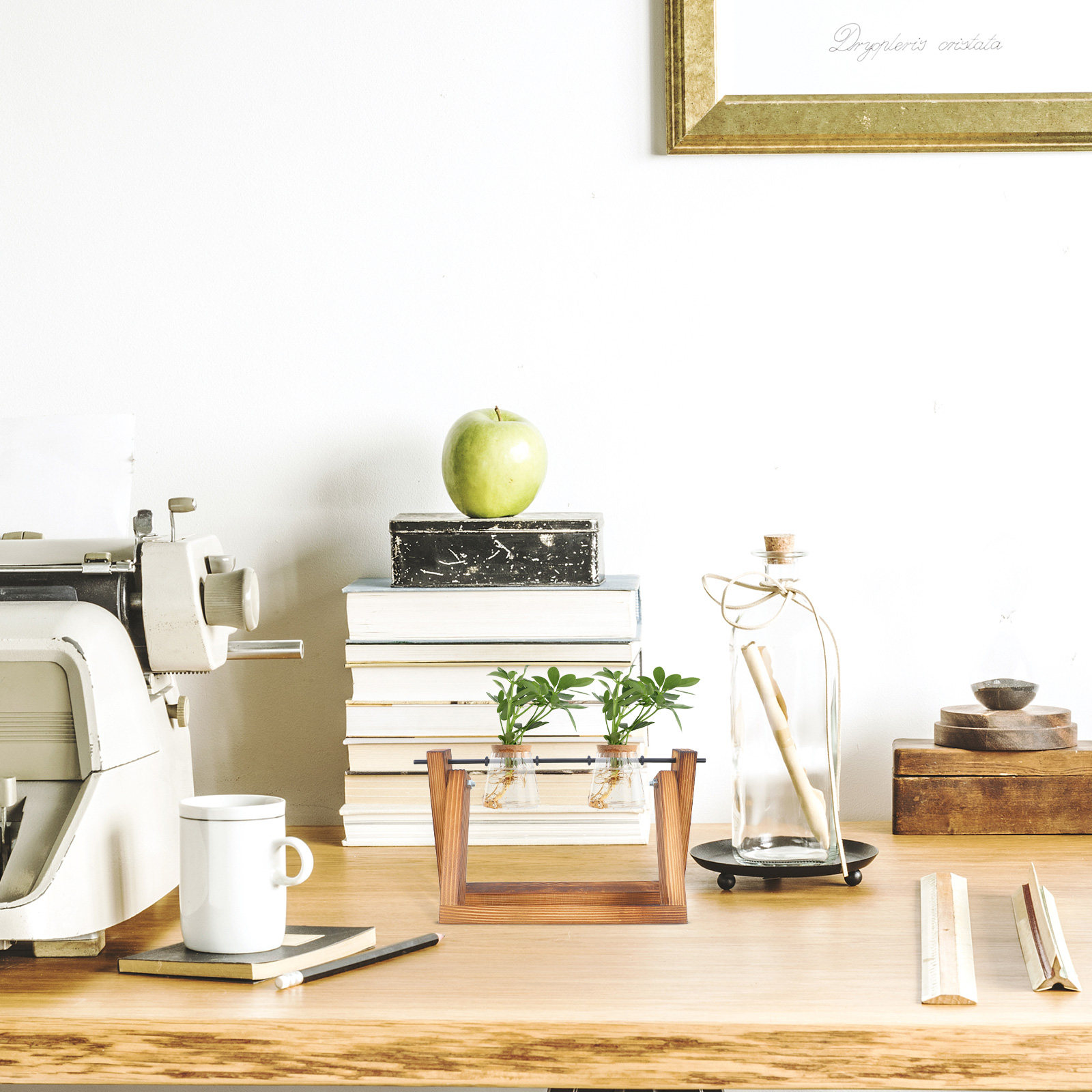 สถานีเพาะพันธุ์พืชแบบไฮโดรโปนิ - Propagation Station Vase บทวิจารณ์และราคา
