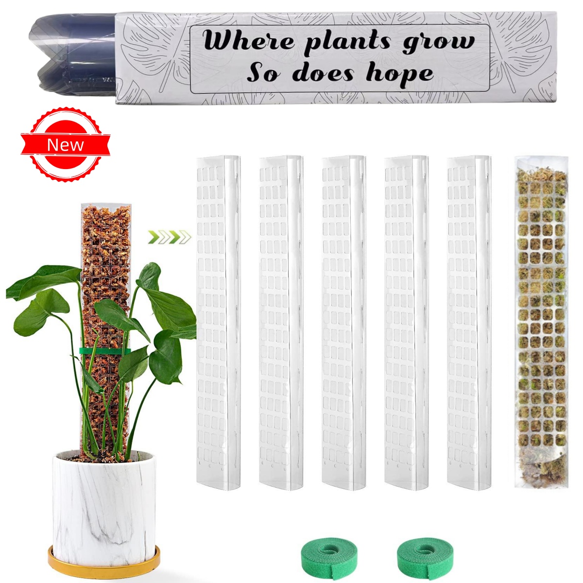 พืช MOSS POLE สวนเรื่องดอกไม้พ - Sphagnum Moss Dry บทวิจารณ์และราคา