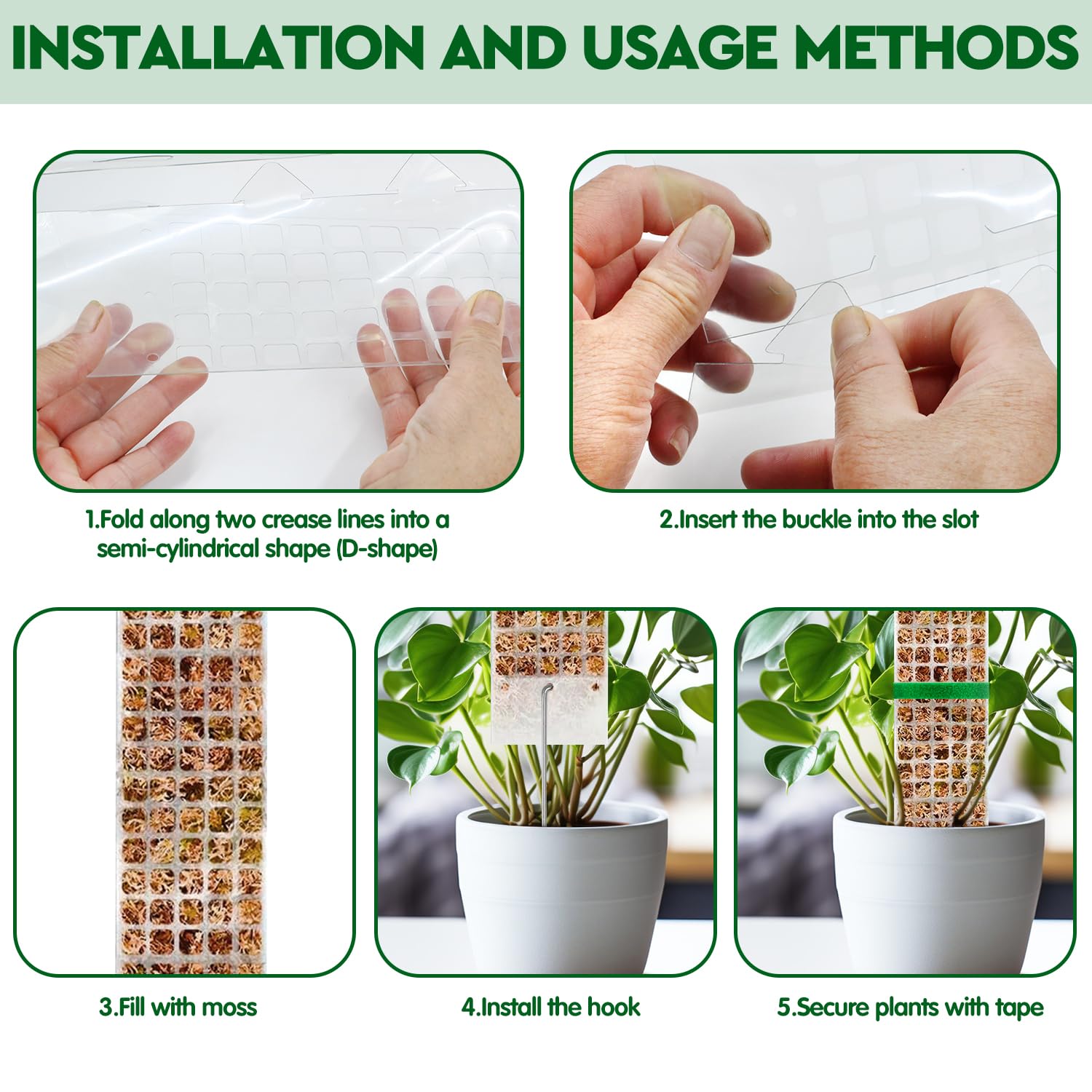 พืช MOSS POLE สวนเรื่องดอกไม้พ - Sphagnum Moss Dry บทวิจารณ์และราคา