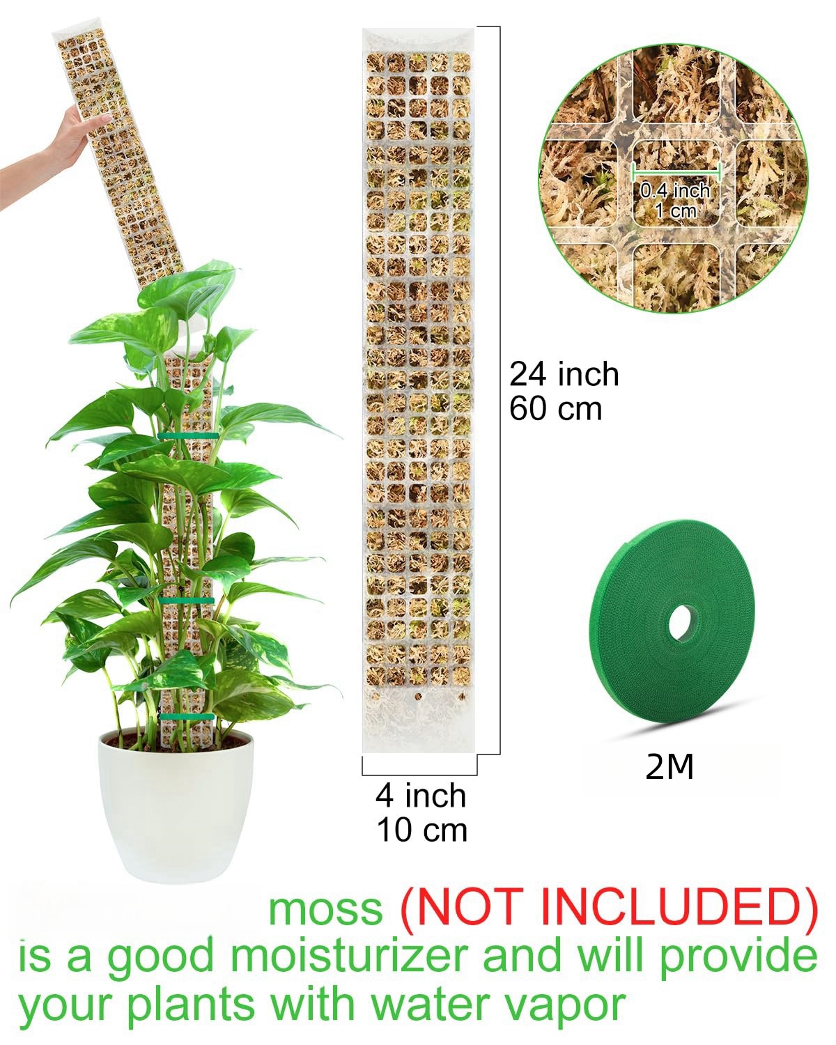 พืช MOSS POLE สวนเรื่องดอกไม้พ - Sphagnum Moss Dry บทวิจารณ์และราคา