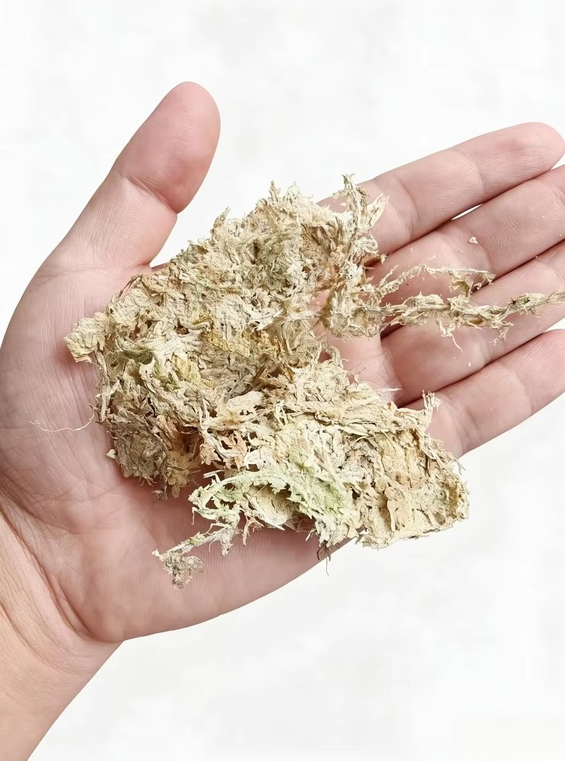 มอสสฟากนัมคุณภาพสูงสำหรับกล้วย - Sphagnum Moss Dry บทวิจารณ์และราคา