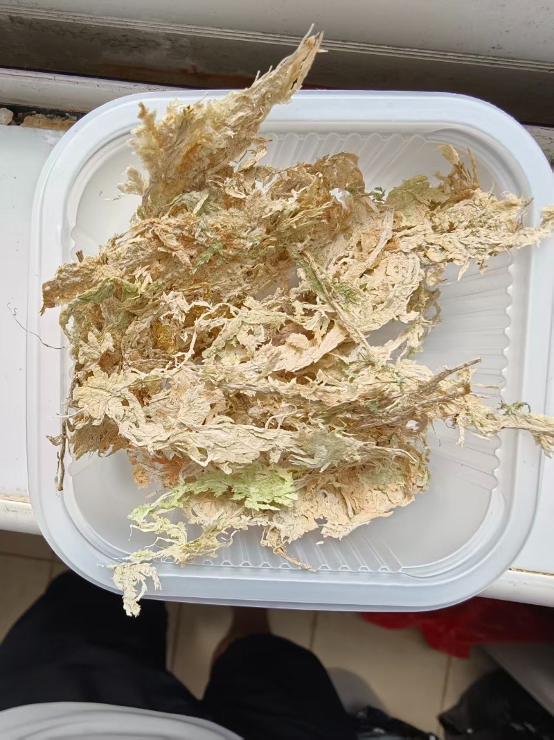 มอสสฟากนัมคุณภาพสูงสำหรับกล้วย - Sphagnum Moss Dry บทวิจารณ์และราคา